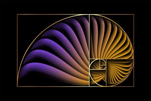 Illustration of the Golden Ratio on a shell