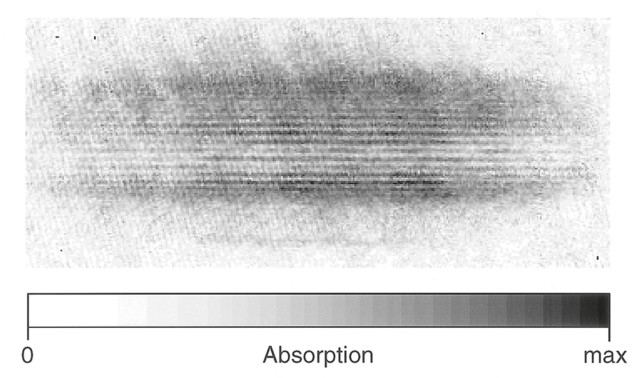 6 Interference pattern of two overlapping condensates