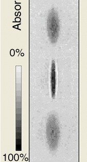 Bose shape oscillations