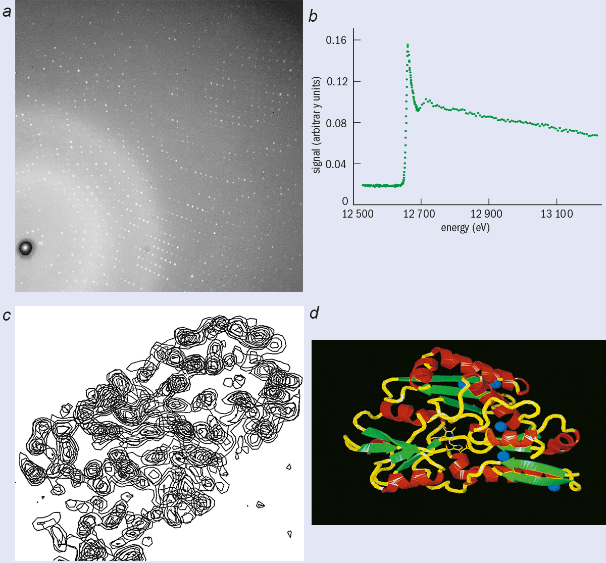 Viruses change structure at the temperature of the human body to