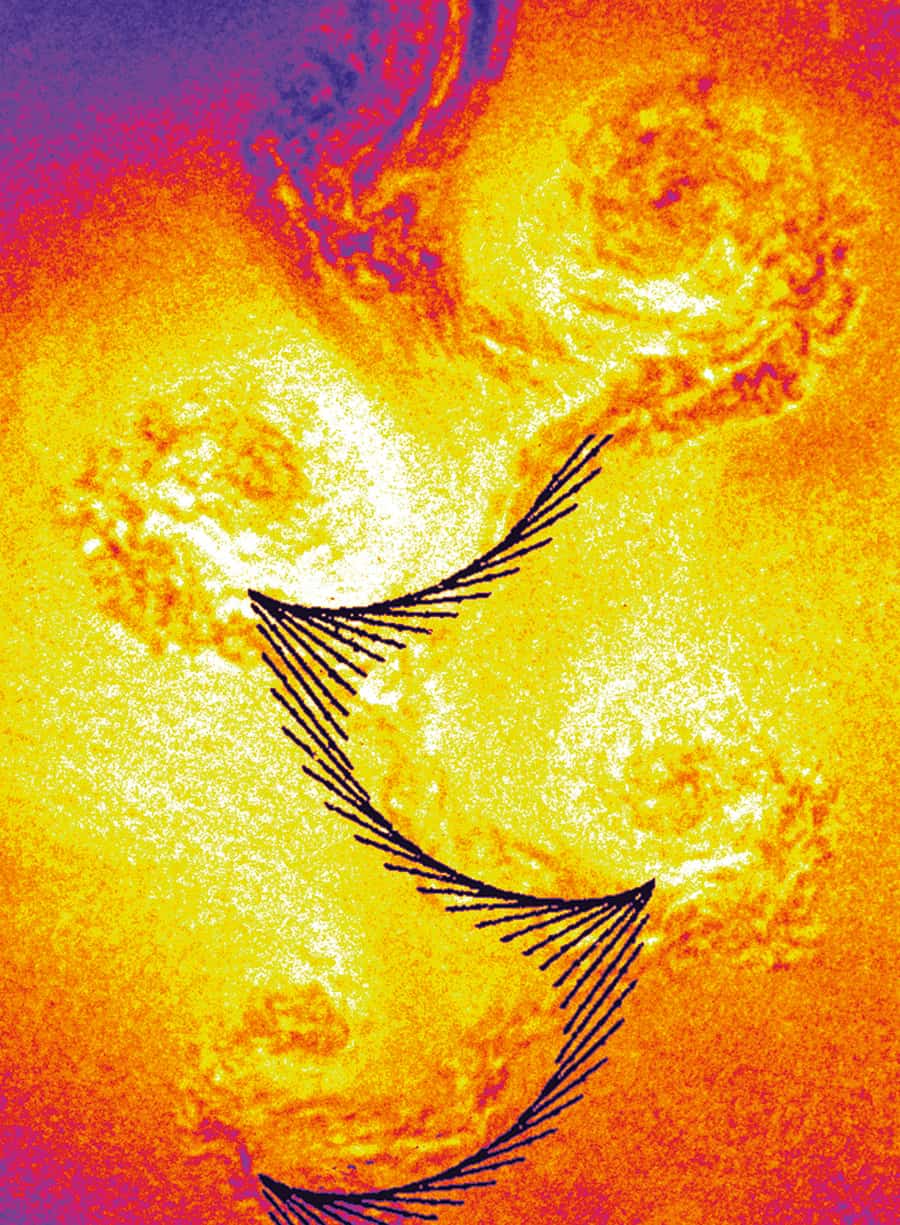 Vortex: Fluids & Mechanics Science Activity