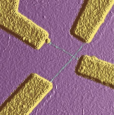 Nanotube 'cross'