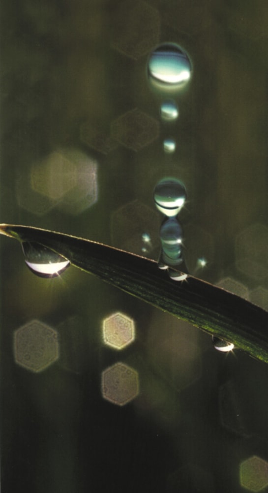 Water droplets make an impact Physics World