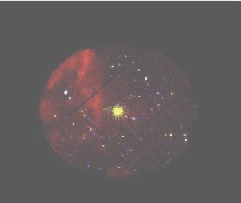 http://images.iop.org/objects/phw/news/thumb/7/6/8/neutron4