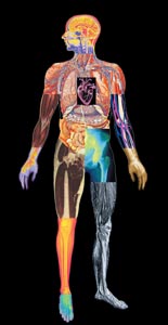 Imaging techniques