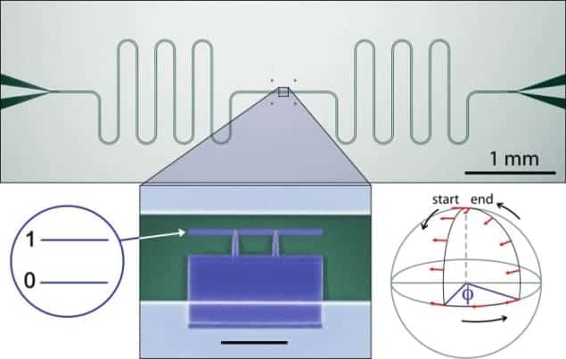 Berry's phase qubit