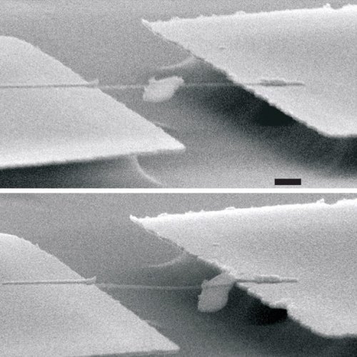 Nanotube 'monorail'