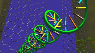 DNA moving through a graphene nanogap