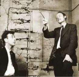 crick.jpg
