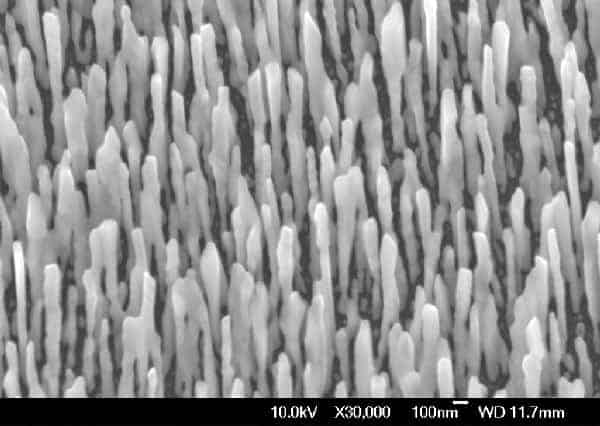 Silver nanowires on a silicon substrate