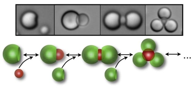 Locking the potential of self-assembly