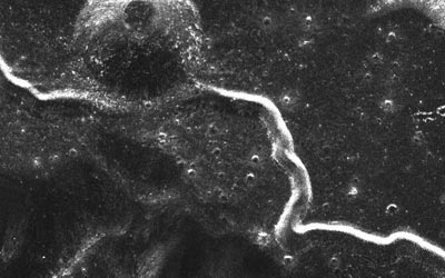Lunar rilles: mysterious channels on the Moon. (Courtesy: NASA/JHUAPL/LS)