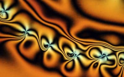When a particle is placed in a liquid crystal it creates topological defects. (Photograph by Israel Lazo; interpretation by all the authors of the article: Oleg Lavrentovich, Israel Lazo and Oleg Pishnyak)