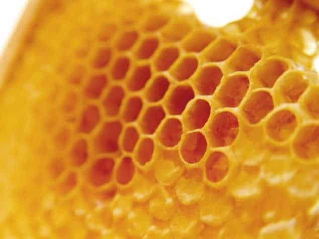 A photo of a honeycomb produced by bees
