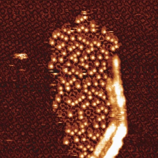 Microscope image showing growth of the tetracarboxylic acid-C60 bilayer