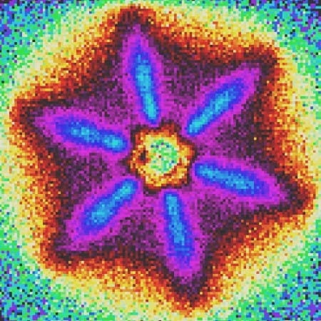 flower.jpg
