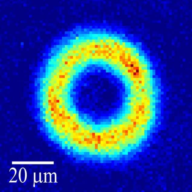 Density profile of a doughnut-shaped BEC