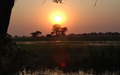 Sun setting over the Okavango Delta region. Courtesy: Lucia Seyfarth/University of Pennsylvania