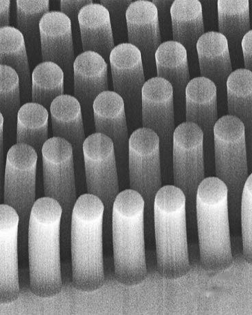 Micrograph of carbon nanotube posts