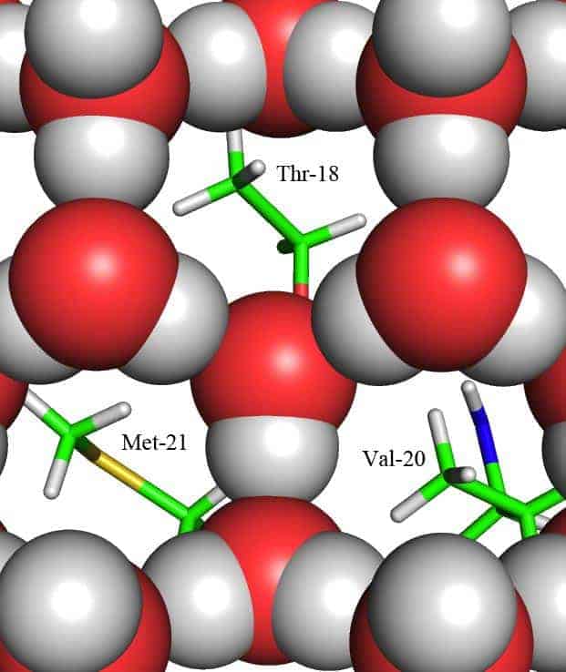 Diagram showing how the barbs capture ice crystals