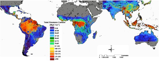 biomass map.jpg