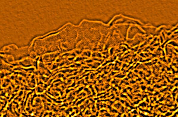 Atomic-resolution electron micrograph of the structure of activated graphene Atomic-resolution electron micrograph of the structure of activated graphene
