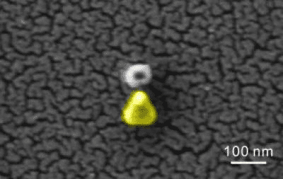Palladium nanoparticle with a gold antenna
