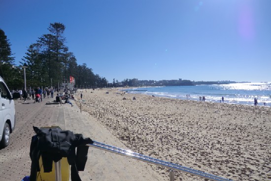 sydneybeach.jpg