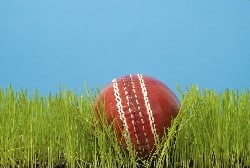 A cricket ball sitting in grass