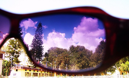 Photograph through sunglasses