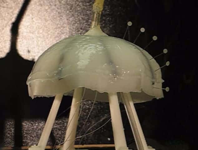 Photo of Robojelly