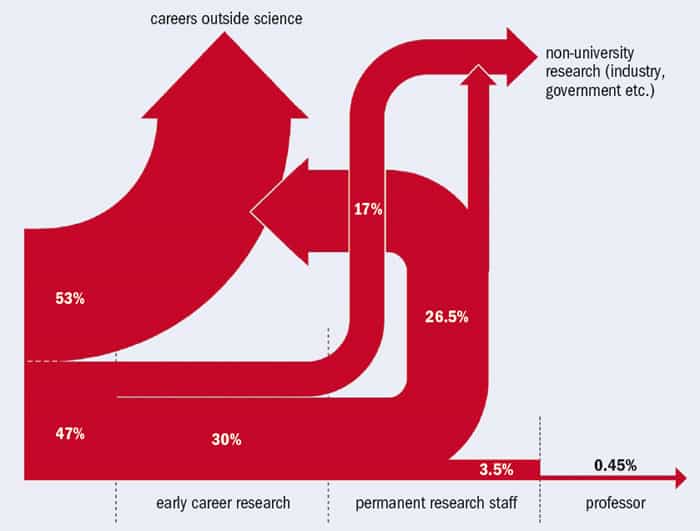 pursue a career in academia