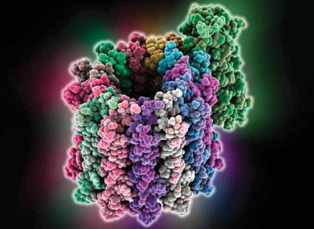Image of a molecule of ATP synthase, a biological molecular machine
