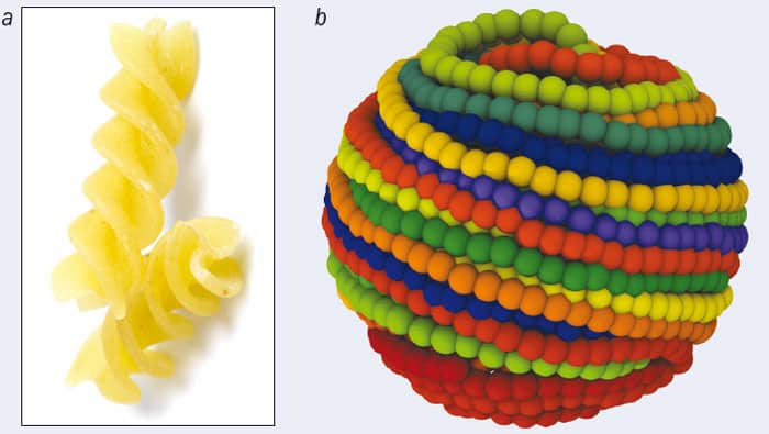 Photo of fusilli pasta showing how they, like other chiral objects, can lock at an angle when pushed into each other, and a computer simulation of a tangled-up skein of DNA inside a phage