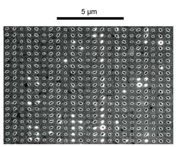 Scanning electron microscope image of the metasurface