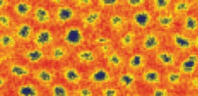 Magnetic force microscope image of skyrmions