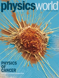 Cover of Physics World July 2013 special issue on "physics of cancer"