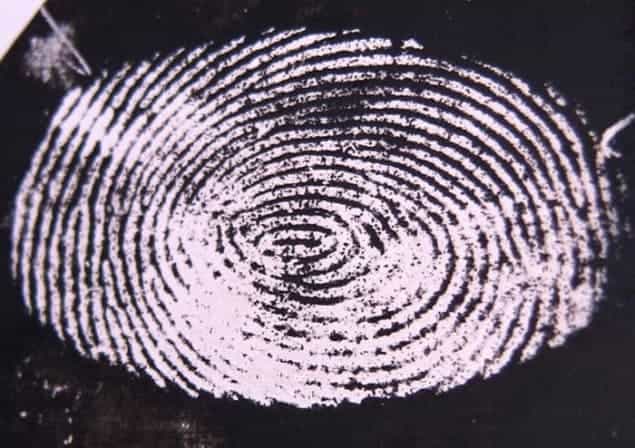 Image of a fingerprint enhanced using electrodeposition