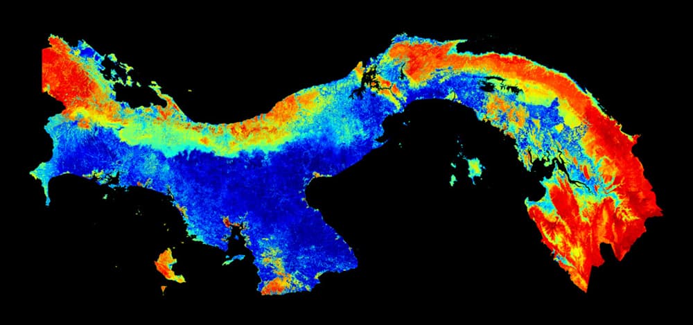 Carbon map of Panama