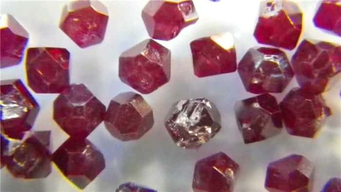 Microscope image of the nanodiamonds