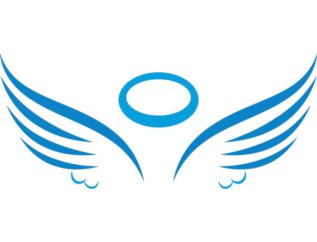graphic of angel wings