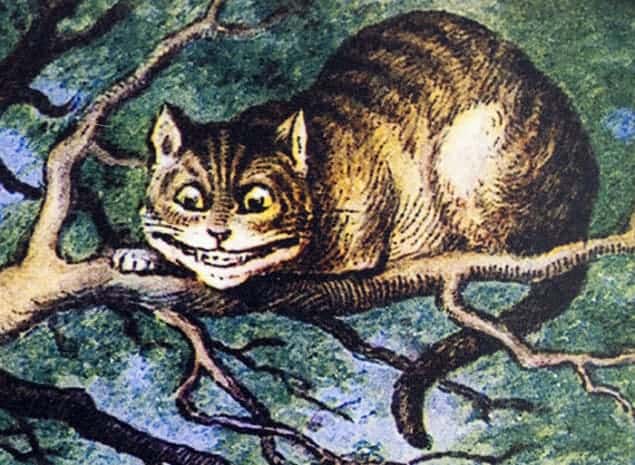 Physicists reveal a quantum Cheshire cat – Physics World