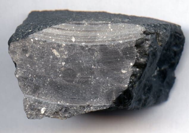 Cross-section of the ancient Martian meteorite