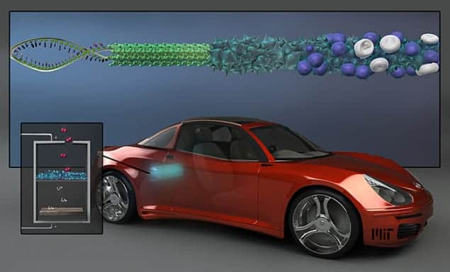 Illustration showing how the virus could make better nanowire electrodes