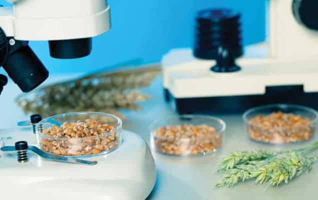 Photo of crops under a microscope Photo of crops under a microscope