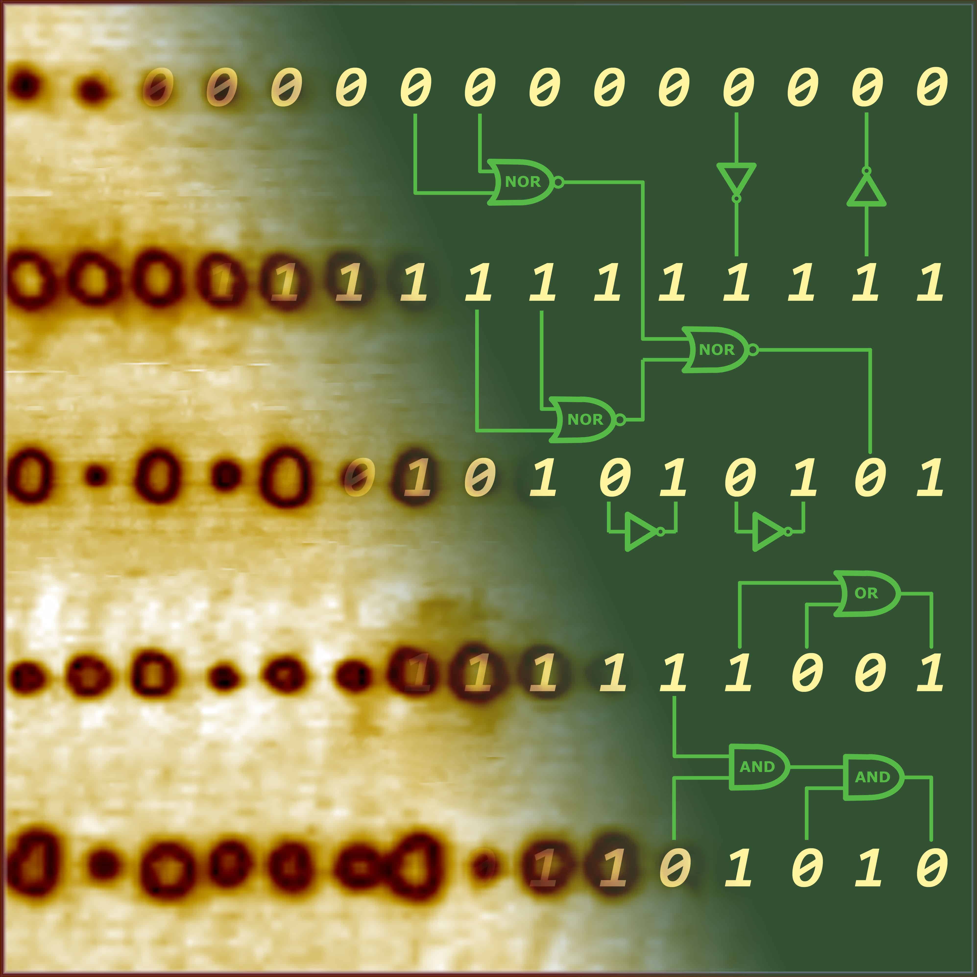 Is this a nascent memcomputer? (Courtesy: Oak Ridge National Laboratory)