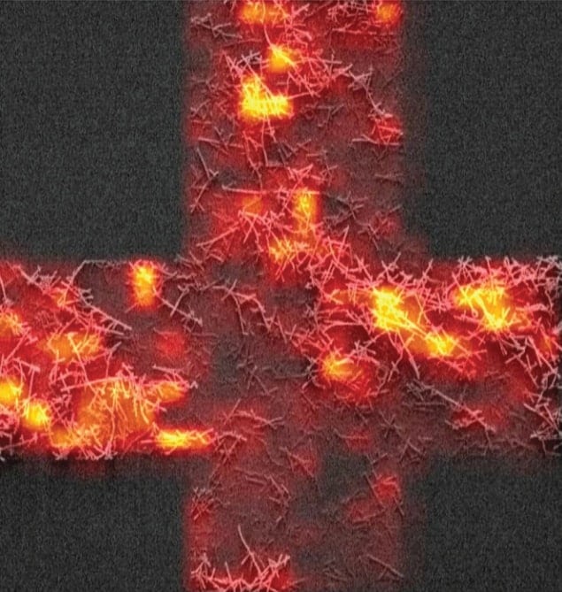 Composite image showing the Raman nanoprobes in action Composite image showing the Raman nanoprobes in action