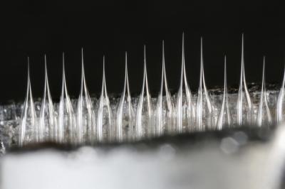 Image of the nanoscale capillary tubes
