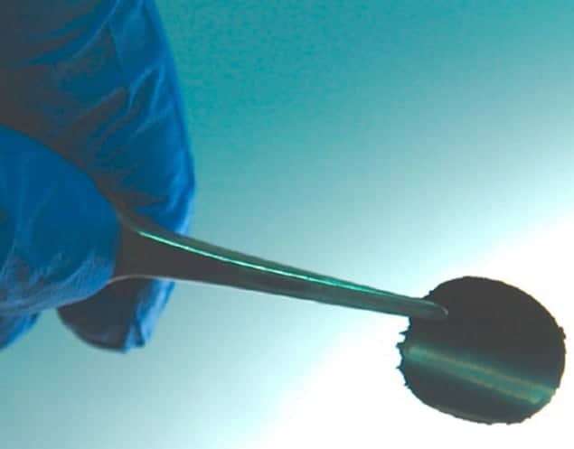 Photograph of a carbon-nanotube film that will be used as a cathode in a lithium-ion battery