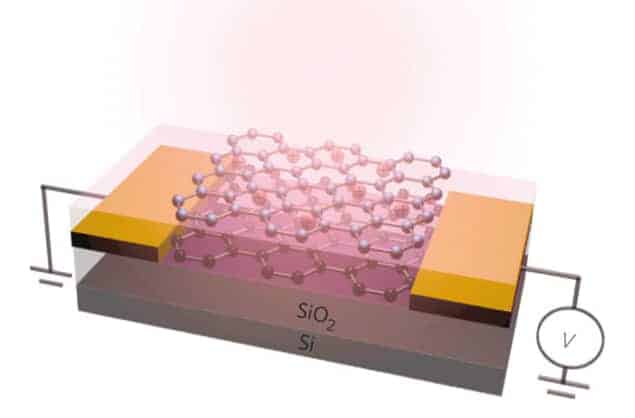 A schematic of the graphene photodetector
